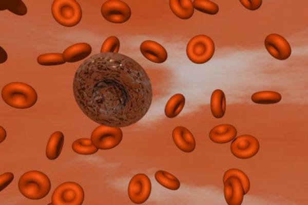 Эффективность и безопасность пероральных антикоагулянтов и антиагрегантов во вторичной профилактике развития венозных тромбоэмболий