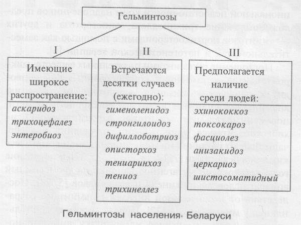 Гельминты (глисты) у детей: симптомы, признаки, лечение