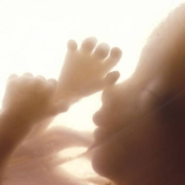 Человек ––  с момента зачатия! Аборт, чтобы избавиться от неудобства? А от пожилой матери избавиться, поскольку уход за ней причиняет неудобства?