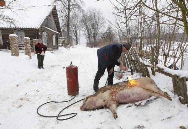 Стоит ли сомневаться в качестве белорусского мяса? Мнения специалистов и собственный эксперимент TUT.BY