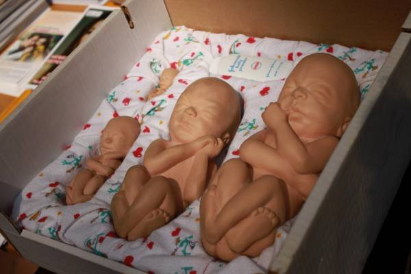 Они отказались от абортов. 7 и 8 июня в Минске прошла акция организации «Спасение младенцев». Фотофакт