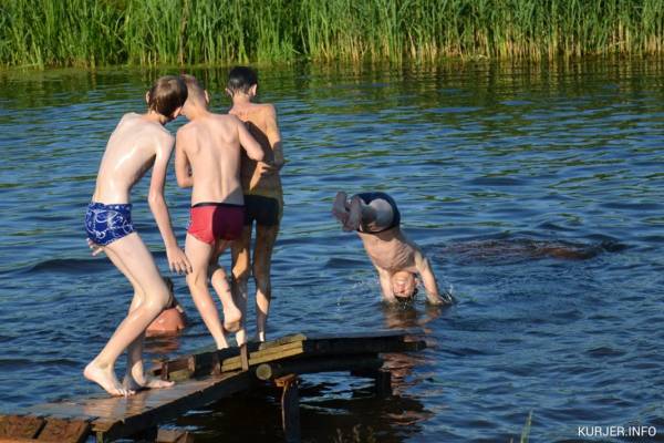 Плавать рядом с утками опасно для здоровья