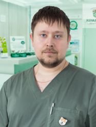 Моисеев Алексей Леонидович