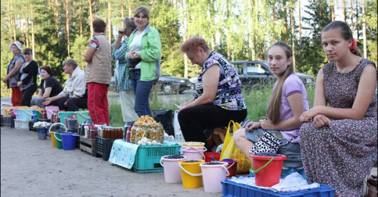 Загрязнение Беларуси радионуклидами. Медики не рекомендуют покупать овощи, ягоды, грибы, молочные продукты, дичь, рыбу с рук