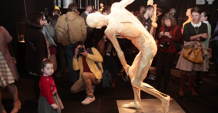 На выставке «Тайны тела. Вселенная внутри» в Минске